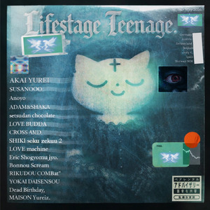 Lifestage Teenage