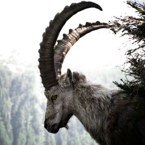 [Free]"岩峰Altitude"Drill x Gunna type beat