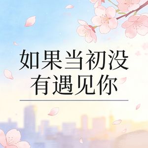 如果当初没有遇见你（也许不会写满了回忆）