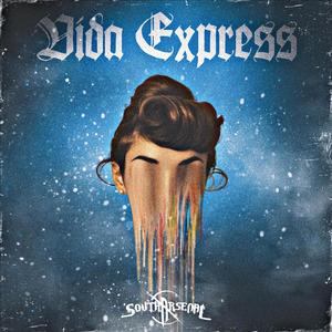 VIDA EXPRESS