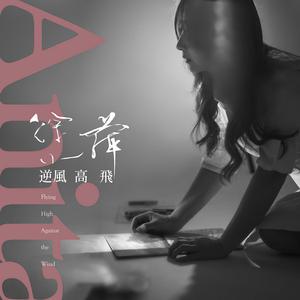 逆风高飞
