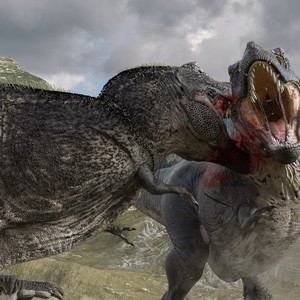 today is a anotherday