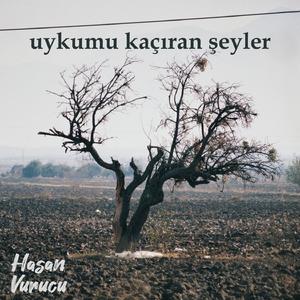Uykumu Kaçıran Şeyler