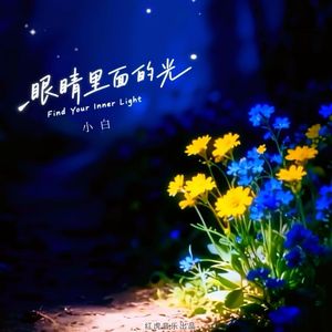 眼睛里面的光（0.9氛围版）