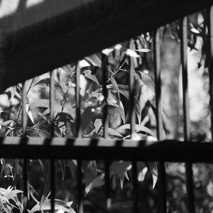 我们都是孤独的