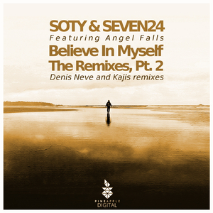 Believe in Myself (Denis Neve Remix)