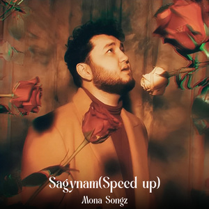 Sagynam（Speed Up）