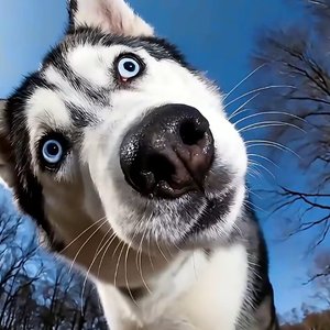 悲伤是件过季风衣