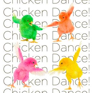 The Old Square Dance Polka