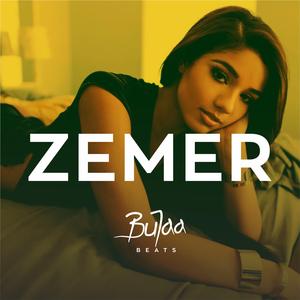 Zemer (Instrumental)