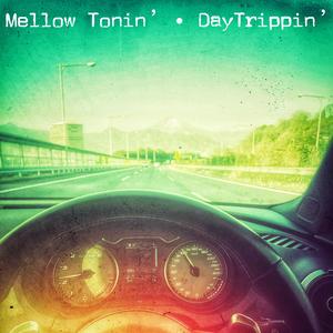 DayTrippin' (feat. EMISM)