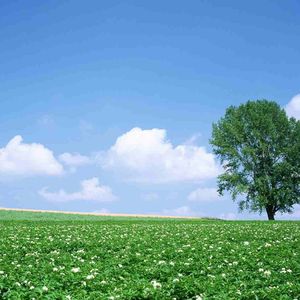 多想在平庸的生活拥抱你