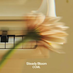 Filtered Noon (Chill Music)