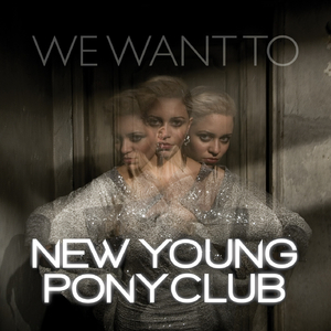 We Want 2 (NYPC Reprise Mix)