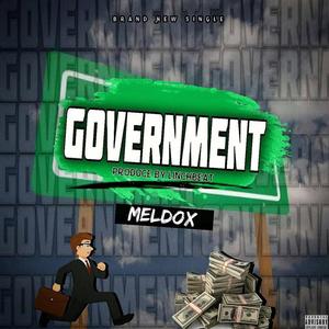 Government