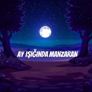 Ay Işığında Manzaran