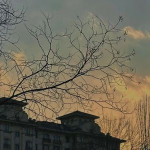 那个他-艾比Abby