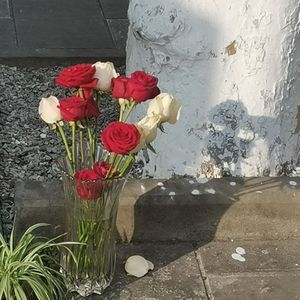 紫色蔷薇（Prod.顺赢INKA）