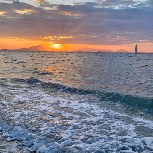 旅行社学习风信子的纯音乐 (7)