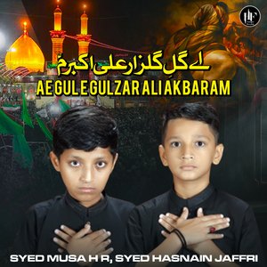Ae Gul E Gulzar Ali Akbaram