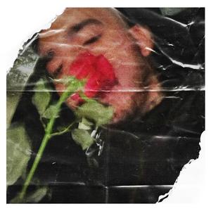 Öldürdüm Çiçeğimi Yaşatamadım