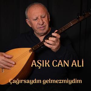 Çağırsaydın Gelmezmiydim