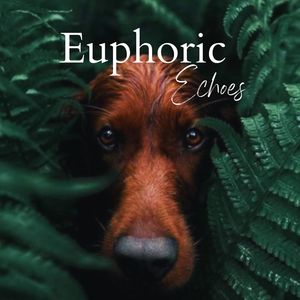 Euphoric Echoes (Instrumental Version)
