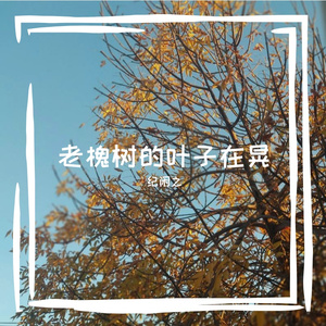 落叶卡在石磨缝