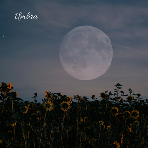 Umbra