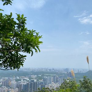 青春一去不复返