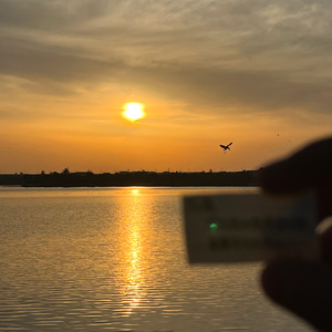 骑行日记Prod by Morrow