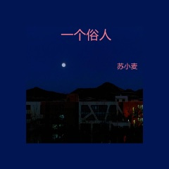 一个俗人 (DJ版)
