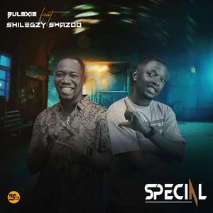 SPECIAL (feat. Shilegzy swazzo)