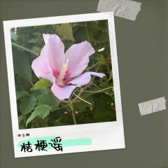 夏天里过海洋 (Live)