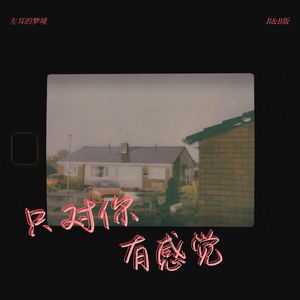 只对你有感觉 (R&B版)