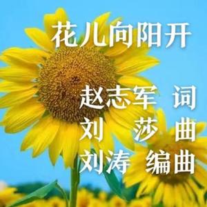 花儿向阳开混缩