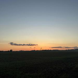 monolog