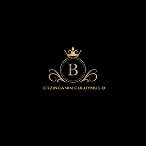 Erzincanın Guluymus O