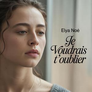 Je voudrais t’oublier