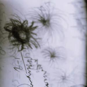 (sweet) burning time