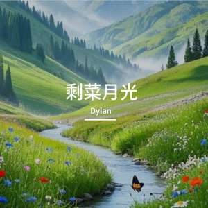 剩菜月光