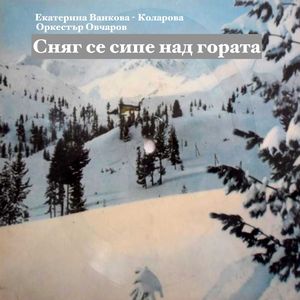 Сняг се сипе над гората