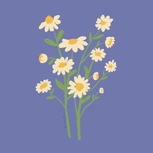 人间万事消磨尽 只有清香似旧时