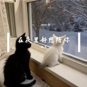 在夜里好想陪你