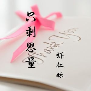 只剩思量