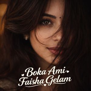 বোকা আমি ফাইসা গেলাম