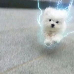 奚落prod.byMORROW x IOF