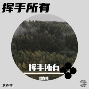 挥手所有