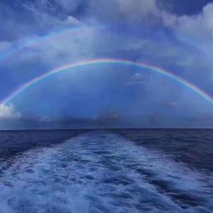 总有一天你会出现在我身边