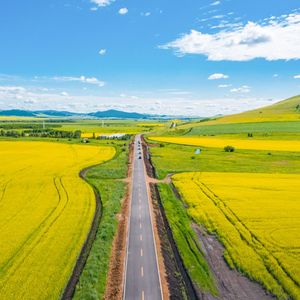 我家门前是草原